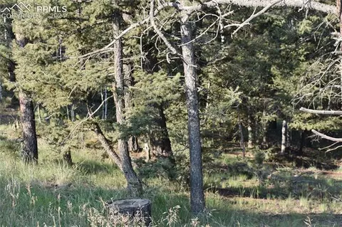 110 Blue Mesa Dr, Divide, CO 80814 photo 4