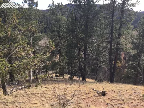 98 Spur Rd, Divide, CO 80814 photo 1