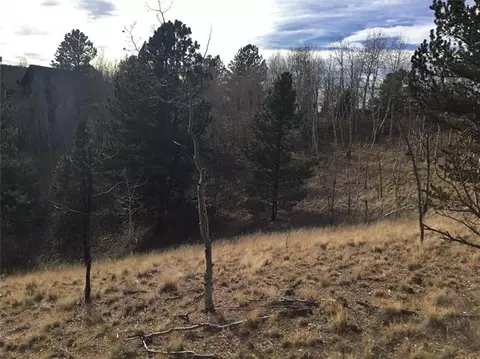 98 Spur Rd, Divide, CO 80814 photo 3