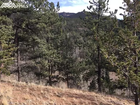 98 Spur Rd, Divide, CO 80814 photo 2