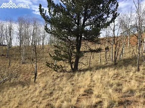 98 Spur Rd, Divide, CO 80814 photo 5