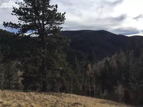 98 Spur Rd, Divide, CO 80814 photo 4