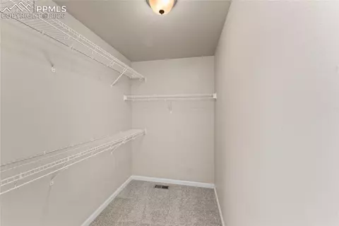 11344 Neutra Grv, Peyton, CO 80831 photo 30