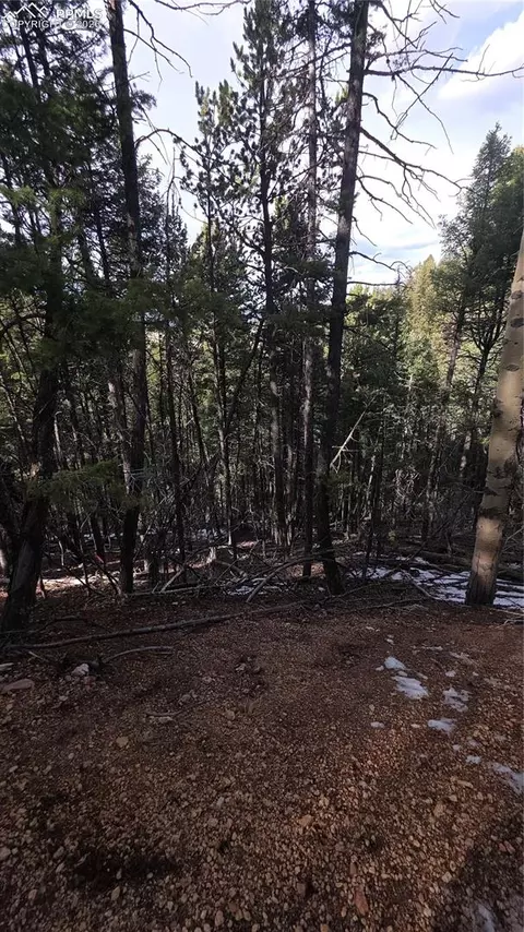 157 Gitchigoomee Trl, Woodland Park, CO 80863