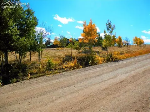 7857 Ranch Rd, Hartsel, CO 80449 photo 5
