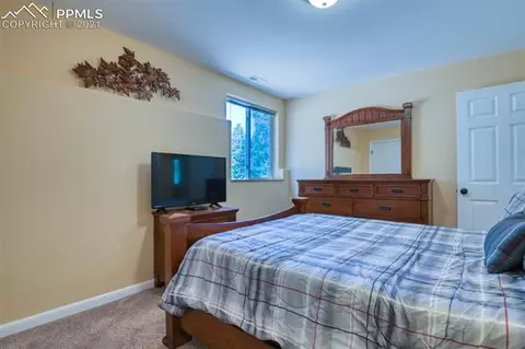 347 Cradle Lake Dr, Divide, CO 80814 photo 29