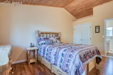 347 Cradle Lake Dr, Divide, CO 80814 photo 20