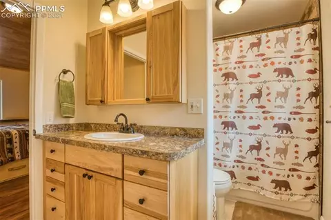 347 Cradle Lake Dr, Divide, CO 80814 photo 19