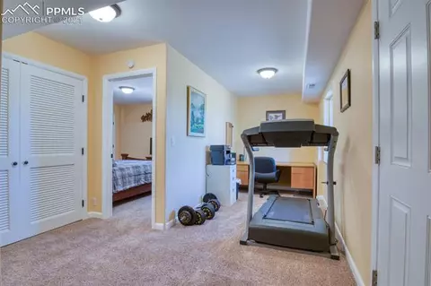 347 Cradle Lake Dr, Divide, CO 80814 photo 31