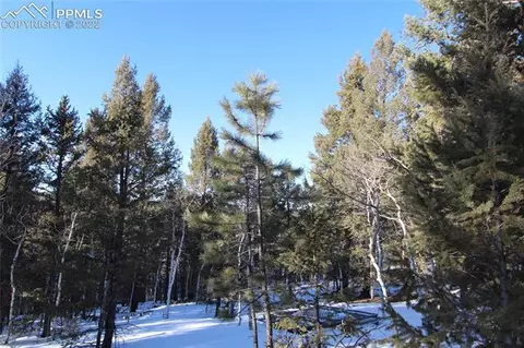 5523 North Rd, Divide, CO 80814 photo 14