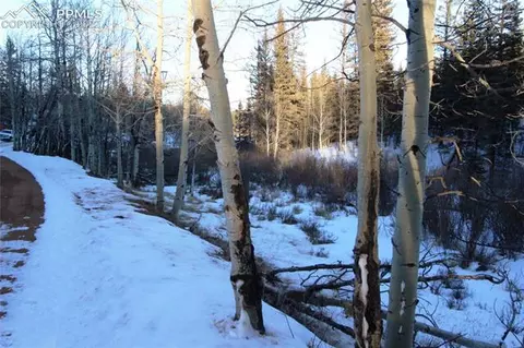 5523 North Rd, Divide, CO 80814 photo 9
