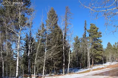 5523 North Rd, Divide, CO 80814 photo 7