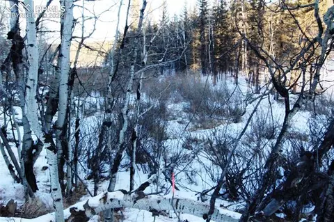5523 North Rd, Divide, CO 80814 photo 8