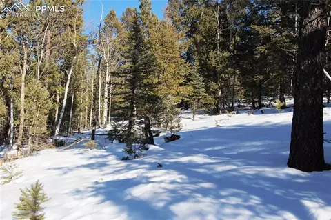 5523 North Rd, Divide, CO 80814 photo 13