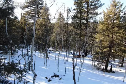 5523 North Rd, Divide, CO 80814 photo 11