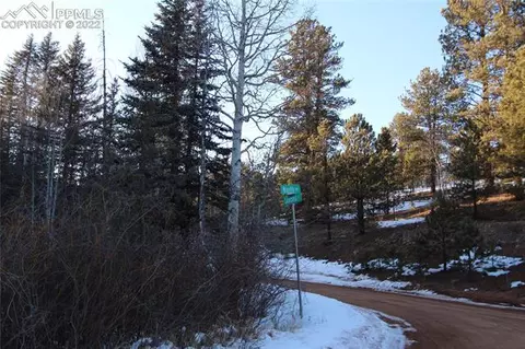 5523 North Rd, Divide, CO 80814 photo 16