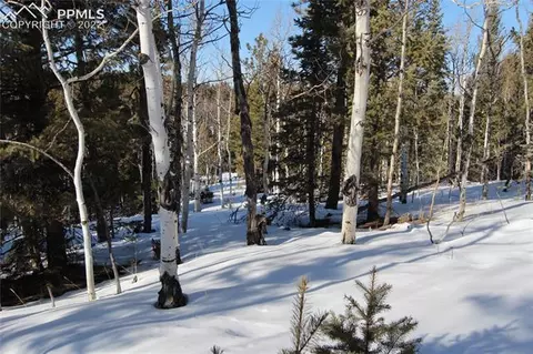 5523 North Rd, Divide, CO 80814 photo 12
