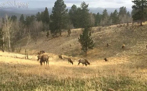352 Lost Lake Dr, Divide, CO 80814 photo 29