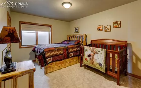 352 Lost Lake Dr, Divide, CO 80814 photo 24