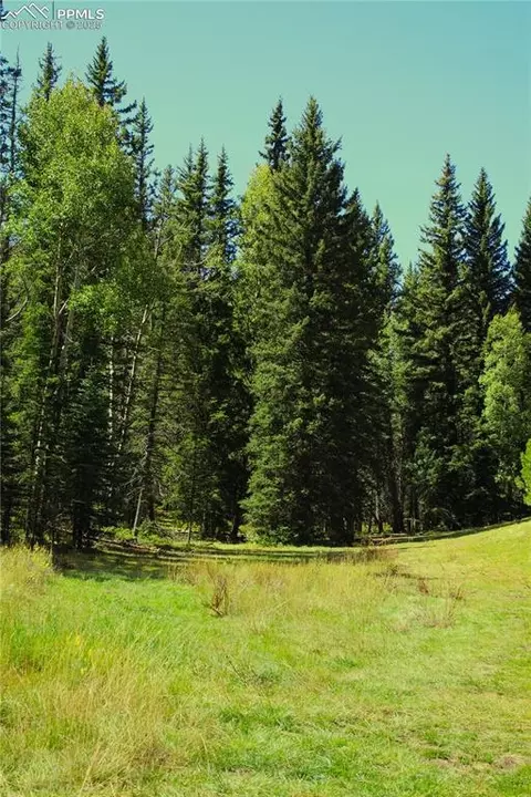 6500 County Road 5, Divide, CO 80814 photo 7