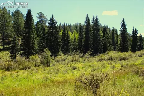 6500 County Road 5, Divide, CO 80814 photo 12