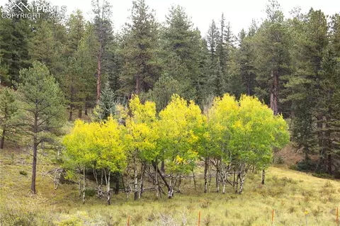 6500 County Road 5, Divide, CO 80814 photo 14