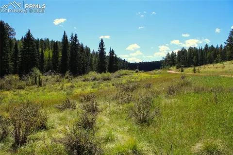 6500 County Road 5, Divide, CO 80814 photo 9