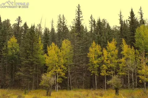 6500 County Road 5, Divide, CO 80814 photo 16