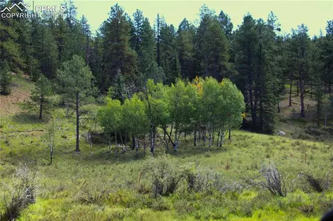 6500 County Road 5, Divide, CO 80814 photo 3
