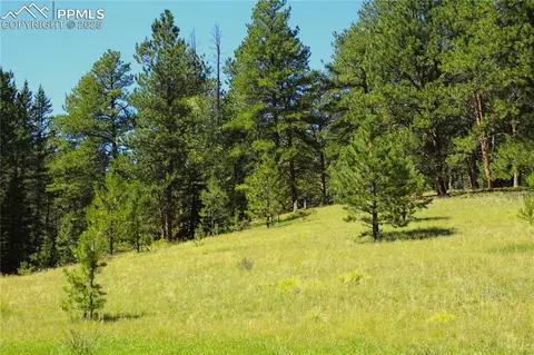 6500 County Road 5, Divide, CO 80814 photo 11