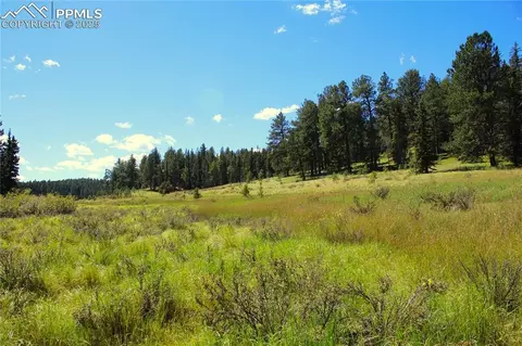 6500 County Road 5, Divide, CO 80814 photo 10