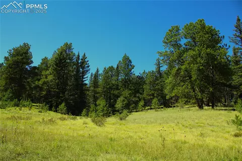6500 County Road 5, Divide, CO 80814 photo 1