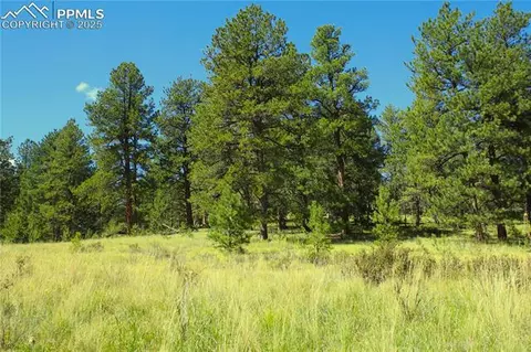 6500 County Road 5, Divide, CO 80814 photo 8