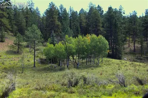 6500 County Road 5, Divide, CO 80814 photo 3