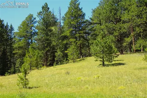 6500 County Road 5, Divide, CO 80814 photo 11