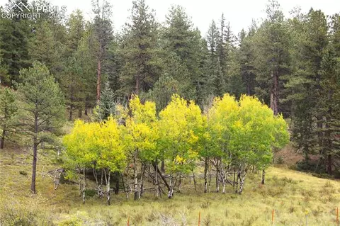 6500 County Road 5, Divide, CO 80814 photo 14