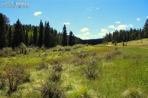 6500 County Road 5, Divide, CO 80814 photo 9