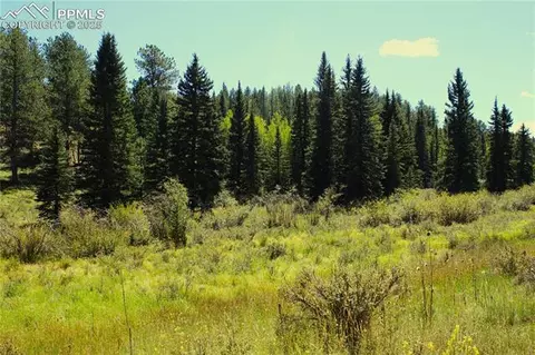 6500 County Road 5, Divide, CO 80814 photo 12
