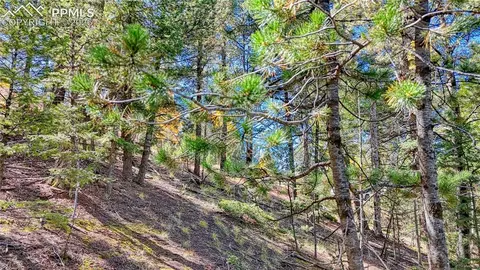 959 Calcite Dr, Divide, CO 80814 photo 10