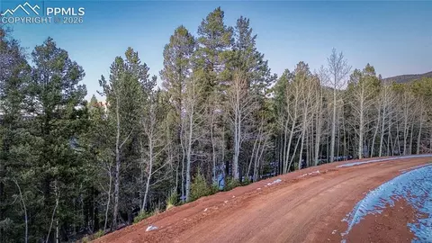 959 Calcite Dr, Divide, CO 80814 photo 15