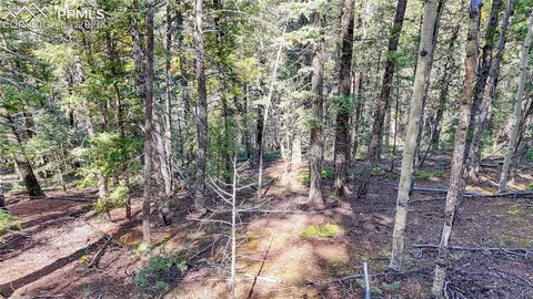 959 Calcite Dr, Divide, CO 80814 photo 45