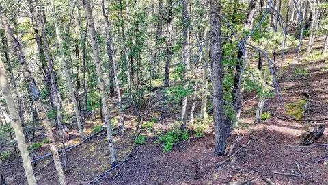 959 Calcite Dr, Divide, CO 80814 photo 42