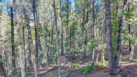 959 Calcite Dr, Divide, CO 80814 photo 44