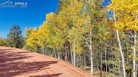 959 Calcite Dr, Divide, CO 80814 photo 8
