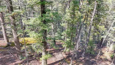 959 Calcite Dr, Divide, CO 80814 photo 41