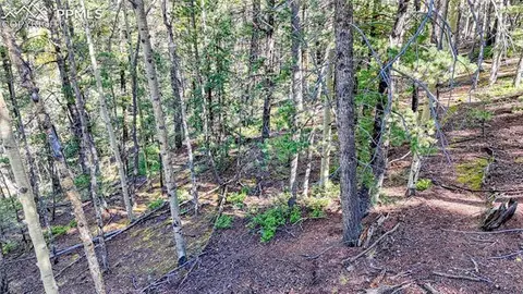 959 Calcite Dr, Divide, CO 80814 photo 42