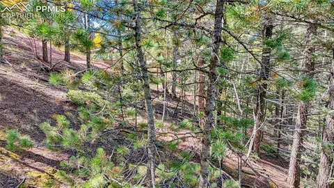 959 Calcite Dr, Divide, CO 80814 photo 9