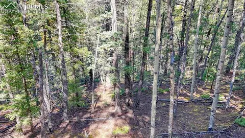 959 Calcite Dr, Divide, CO 80814 photo 14