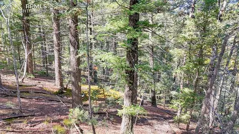 959 Calcite Dr, Divide, CO 80814 photo 46
