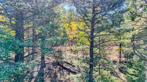 959 Calcite Dr, Divide, CO 80814 photo 5